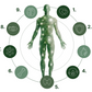 LifePak Elements, complemento alimenticio