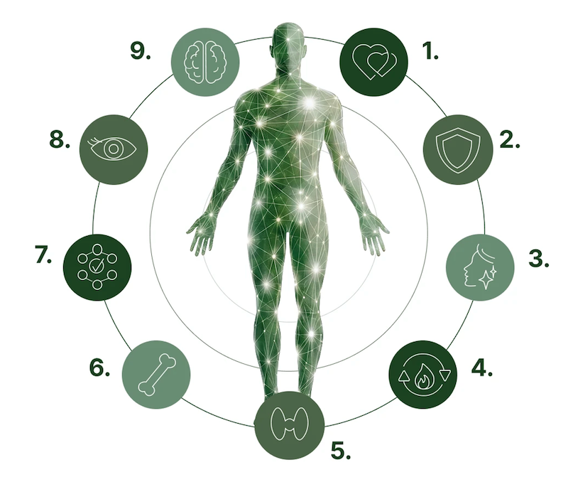 LifePak Elements, complemento alimenticio